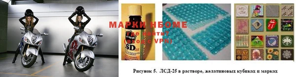 кокс Арсеньев
