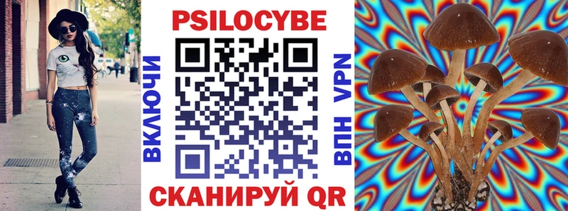 Галлюциногенные грибы Psilocybe  omg ссылки  Вольск  даркнет состав  закладки 